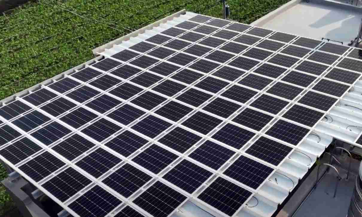 优游UB8SunSteel光电浪板升级双玻结构，，以提升机械负载强度及气候耐候度，，，，可广泛运用于多元场域